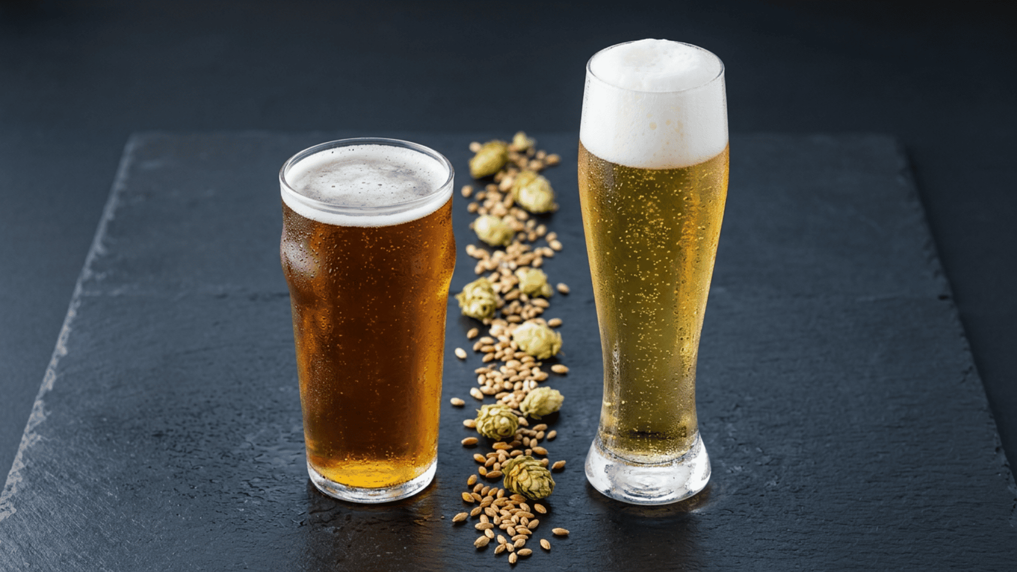 Two beer glasses showing lager and pilsner side by side highlighting key differences