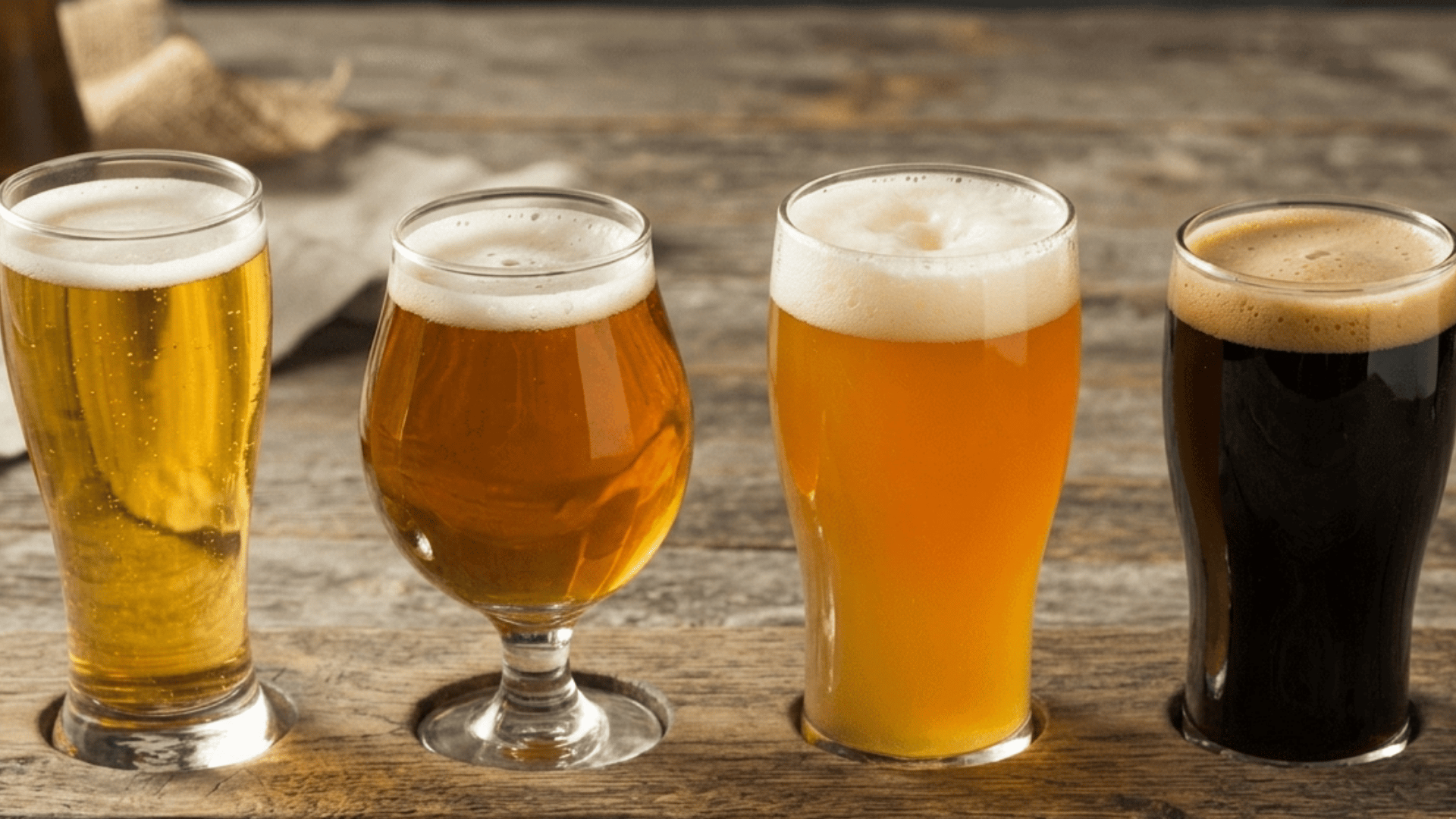 four beer glasses arranged by different IBU bitterness ranges